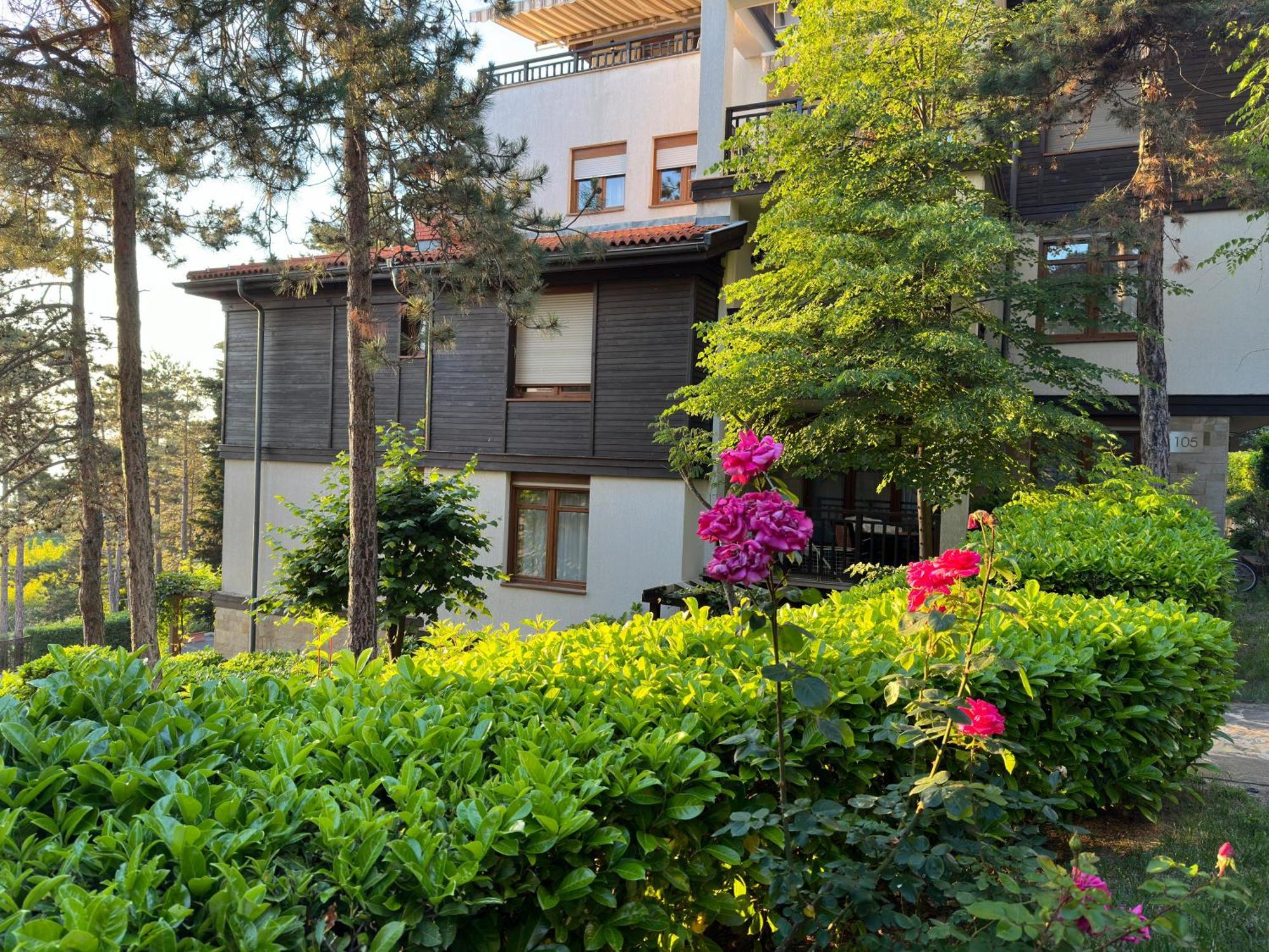 Sm Lovely Apartments On The First Line In ソゾポル エクステリア 写真